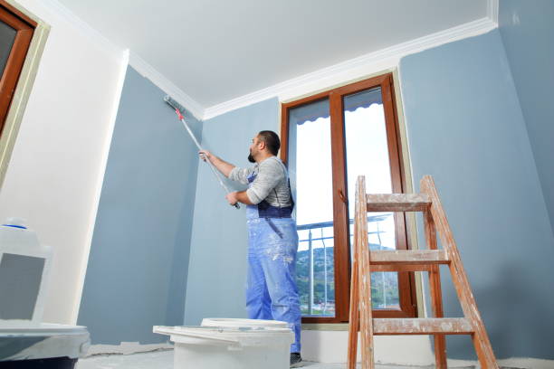 Best Wallpaper Removal and Painting  in Roanoke, VA